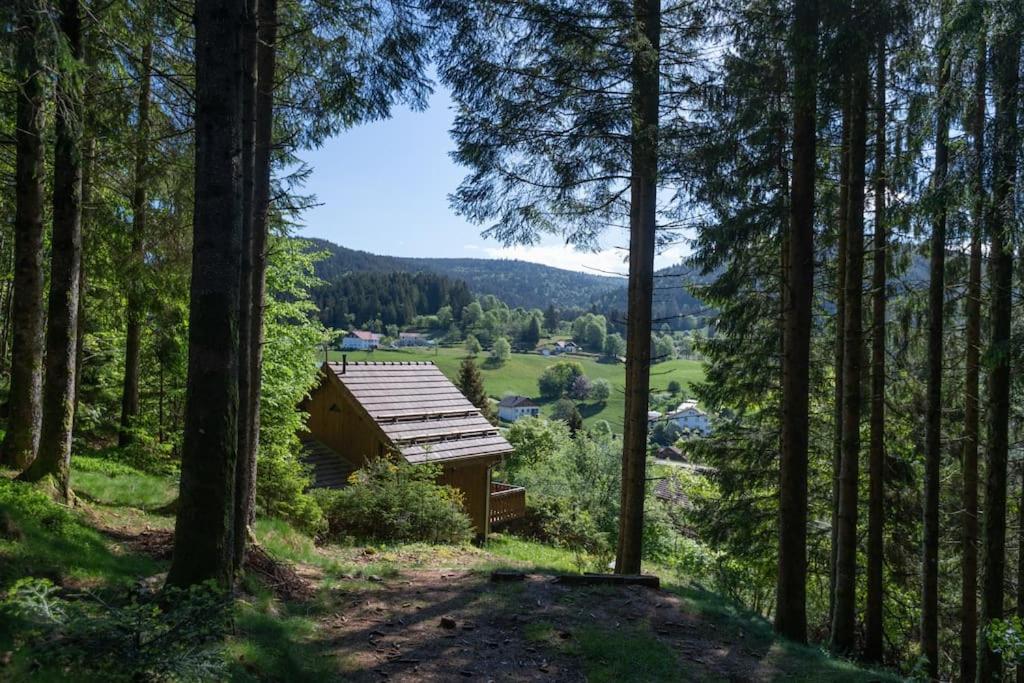 Charmant Chalet Cosy & Paisible En Pleine Nature - Refuge Idyllique Pour 5P Gérardmer Exteriér fotografie